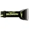 Salomon S/View 3 ski goggles