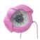 Plastimo Brújula Iris 50