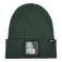 Molix 2025 Beanie