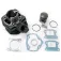 101 octane IP12461 cylinderkit