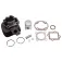 101 octane IP18306 Cilinderkit