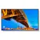 Nec Монитор MultiSync M431-2 43´´