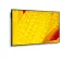 Nec Pantalla MultiSync M551-2 50´´