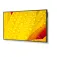 Nec Pantalla MultiSync M551-2 50´´
