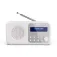 Sharp DR-P420 Bærbar radio