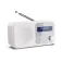 Sharp DR-P420 portable radio