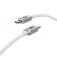 Subblim Optimus USB-C 数据线 2 m 60W