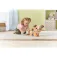 Vtech Chiot petits pas ours en peluche Version espagnole