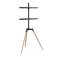 Gembird Support TV TVS-65S-01 32-65´´