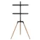 Gembird Support TV TVS-65S-01 32-65´´