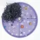 Jellystone Galaktisches Sensorik-Set