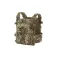 Clawgear Protector Plate carrier