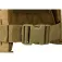 Condor Sentry Plate carrier