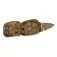 Warrior assault systems Medic Rip Off Etui
