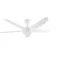 Orbegozo CP 143142 ceiling fan