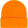 Dc shoes Gorro Label