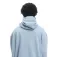 Hydroponic Lb capitol bh kapuzenpullover