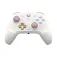 Gamesir Controller per Nintendo Switch Cyclone 2 Daybreak
