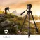 Nedis 60 cm 三脚架