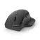 Nedis Mouse wireless MSWS510BK