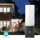 Nedis WIFICOL20BK security camera
