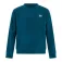 Protest Hawk Bluza