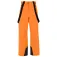 Protest Rowens pants