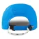 Gill Regatta pet