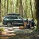 Thule Force 3 S trunk 300L