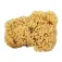 Docksoap Natural Sponge
