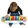Baby einstein Magic Piano Notes & Keys