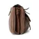 Refresh 183319 Taske
