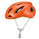 Specialized Search Kask