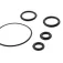 Silverback Set di o-ring TAC 41