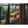 Topo athletic MTN Racer 4 trailsko