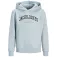 Jack & jones Caleb Varsity Hettegenser