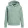 Jack & jones Corp Logo hoodie
