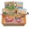 4m Wild Animal Dig Kit