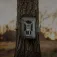 Spypoint Force-24 trail camera