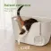 Catit Loo kattedo