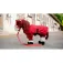 Equitheme Brinquedo Pony Academy Jumpy