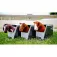 Equitheme Brinquedo Pony Academy Jumpy