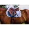 Equitheme Softypop 안장 패드