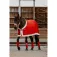 Equitheme Xmas bandager