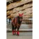 Equitheme Sottosella Xmas