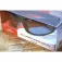 Carp expert Gafas de sol Stream