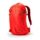 Gregory Targhee 26L backpack