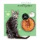3coty 29 Comida húmida para gato com frango e ganso 80g