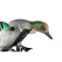 Mojo outdoors ES Green Wing Teal Köder