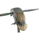 Mojo outdoors ES Green Wing Teal Köder